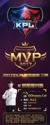 诸葛亮颠峰之战出装攻略（战术与装备的完美结合，带你征服战场）(诸葛亮巅峰赛怎么玩)