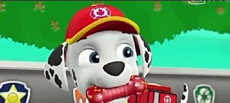 以萌宠救援队拯救生命的温暖故事（萌宠救援队）(萌宠救助公益驿站联系方式)