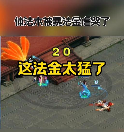 《问道69技能加点攻略》（掌握关键技能加点，成为问道69的强者）(问道69级)