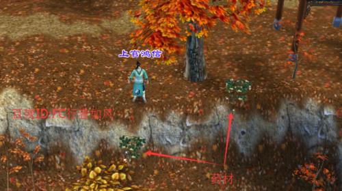 天龙生活技能攻略（为你揭秘天龙生活技能攻略，助你在游戏中生存自如）(天龙生活技能怎么练快)