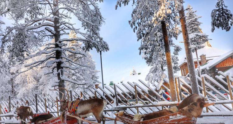 《跑跑卡丁车》驯鹿雪橇（挑战速度极限，体验惊险刺激的驯鹿雪橇赛车！）(跑跑卡丁车2)