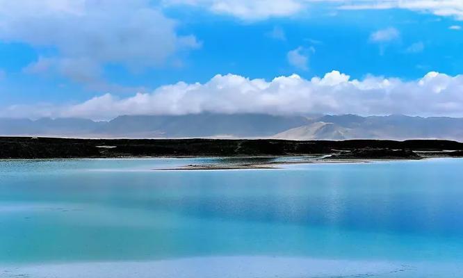 雪猛猛（以雪居之地雪猛猛的过渡能力如何超群）